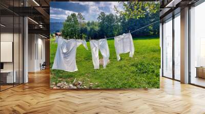 clothes drying in the sun clear peg clamp blowing garment hold pure towel chore sunlight work light fashion field grass house nobody friendly window yard household action apparel good underwear wear Wall mural