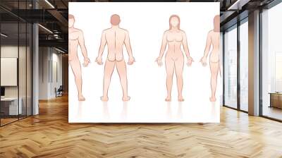 HUMAN BODY - naked man and woman, front and back view. Wall mural