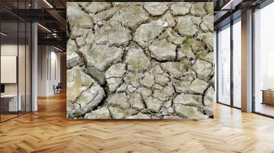 dried earth 2 Wall mural