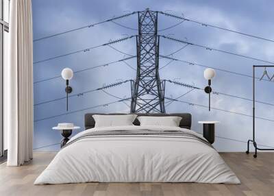 side view of electric power Pylon Wall mural