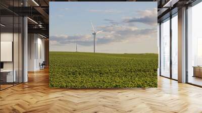 soybean field with wind turbine Wall mural