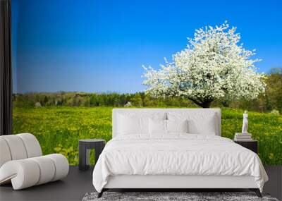 Single blossoming tree in spring on rural meadow Wall mural