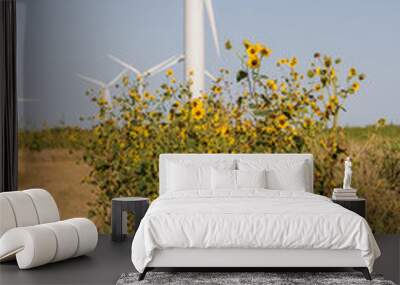 wild sunflowers in a farm field Wall mural