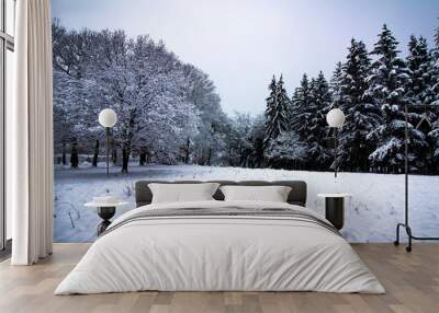 winter forest in winter Wall mural