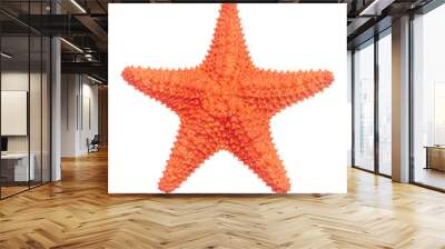 Caribbean starfish isolated on white background. Wall mural