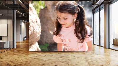 Little beautiful girl with pigtails smiling on the background of a stone wall Wall mural