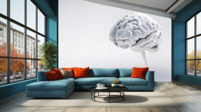 Isolated brain on white background with copy space  Wall mural