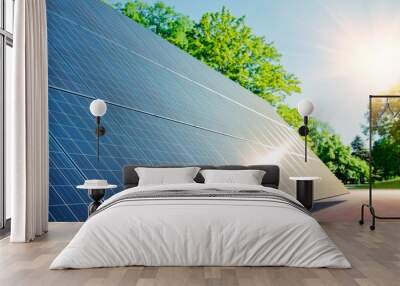 Solar power plant at sunrise with green environment
 Wall mural