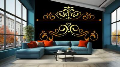 Abstract floral design, set, gold ornament on a black background for your design, close-up, vector graphics Wall mural