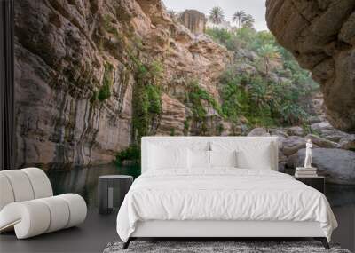 Beautiful natural pool in the gorge of Wadi Tiwi, Oman. Green water with sandstone cliffs and palm trees around it. Wall mural