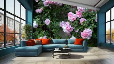 Fresh pink rose Wall mural