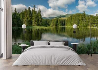 lake in the forest in lower tatra mountains Wall mural