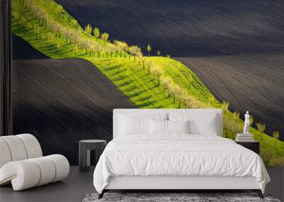 Moravia, spring, field, landscape, biobelts, ribbon, Wall mural