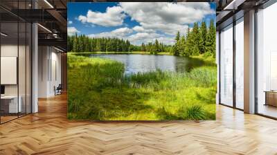 Mountain lake in the forest panorama Wall mural