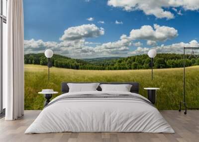 panorama hill country side with forest and meadow with hunters high seat Wall mural