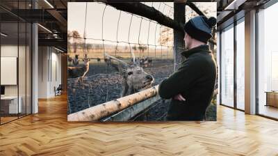 Portrait of a young man stroking a young red deer behind a fence in a deer-park at sunset. People and animals. Wildlife and nature in the city.  Wall mural