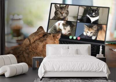 Back view of cat talking to cat friends in video conference. Group of cats having an online meeting in video call using a laptop. Focus on cats, blurred background. Wall mural