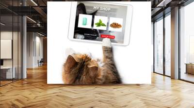 Cat ordering online by internet for home delivery. Paw on tablet with a shopping product selection. Concept for pets using technology,  or animals imitating humans. Isolated on white. Wall mural