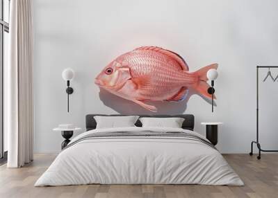 pink sea bream isolated on white background Wall mural