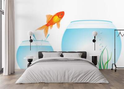 Two aquariums and fish Wall mural