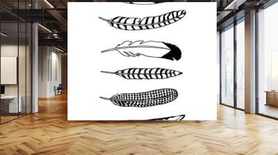 Hand drawn feather Wall mural