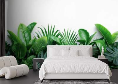 Assorted Tropical Green Leaves on White, A lush arrangement of various tropical green leaves, offering a natural and vibrant aesthetic on a white background. isolated on white Wall mural