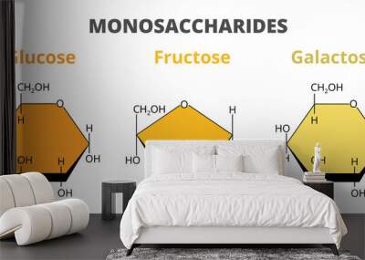 2D vector set, the molecular structure of the dietary monosaccharides – glucose, fructose, galactose molecules isolated on white background. Monosaccharides, simple sugars, monomers of carbohydrates. Wall mural