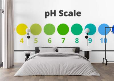 Vector chemical illustration of pH scale for a measure of how acidic or basic solution is.  Ph scale value test with the range from 0 to 14 isolated on a white background. Acidic, neutral, alkaline. Wall mural