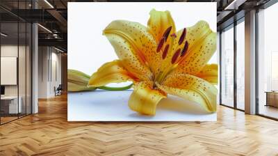 Close-up of a vibrant yellow lily with a blooming bud against a white background. Wall mural