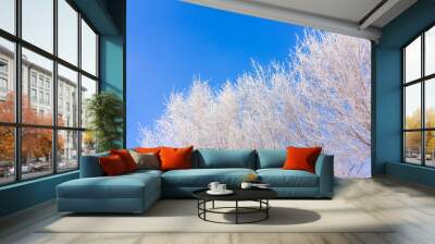 Frost on trees Wall mural