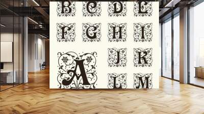 Vintage set capital letters,  Monograms and beautiful  font.  Wall mural