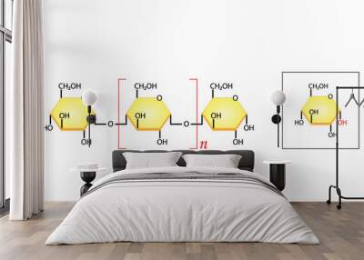 Amylose molecule. Starch molecule, Polysaccharide. chemical structure. Carbohydrates and Sugars Terminology. Scientific Design. Vector Illustration. Wall mural