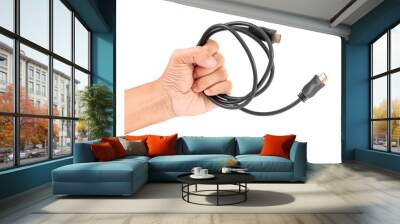  HDMI cable Wall mural