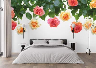 White background with colorful roses hanging beautifully in full bloom. Wall mural