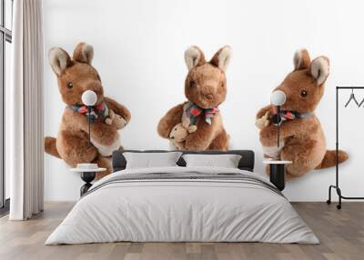 cute kangaroo dolls on white background Wall mural