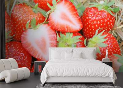 Fresh strawberries Wall mural