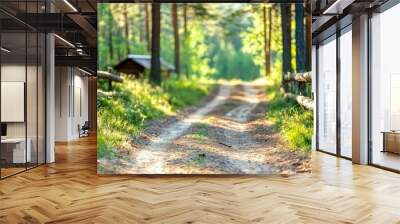 A rustic dirt path leads through a serene pine forest to an inviting campsite, surrounded by the beauty of nature and the promise of adventure. Wall mural