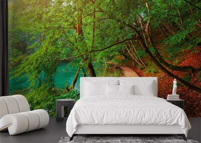 beautiful scene in Plitvice Lakes National Park, Croatia Wall mural