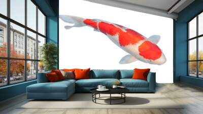 Koi fish isolated on white background  Wall mural