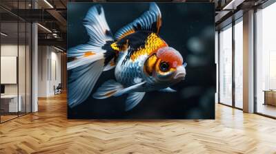 Closeup of a Colorful Goldfish. Wall mural