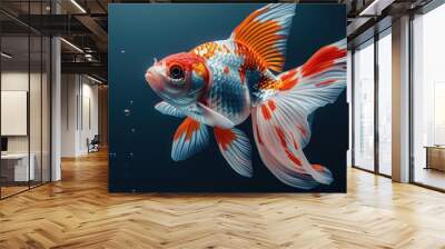 Colorful Goldfish with Bubbles in Aquarium. Wall mural