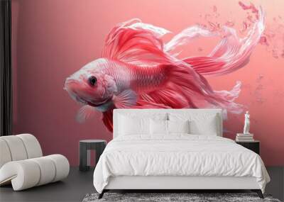 Pink Betta Fish with Flowing Fins in Pink Water. Wall mural