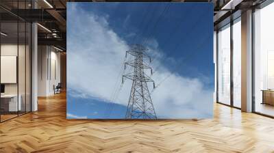 power line tower Wall mural