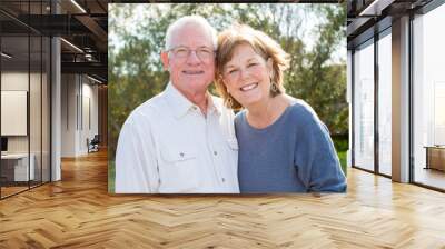 Mature senior couple Wall mural