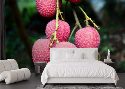 Lychee on tree ,fruit Asia Thailand Wall mural