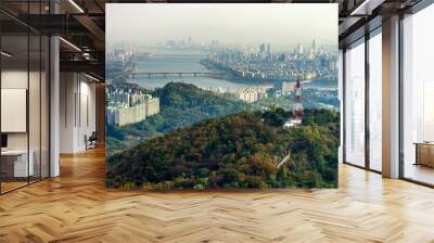 N Seoul Tower Wall mural