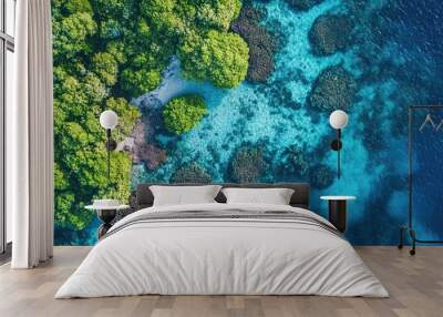 Top view of Maldives coral gardens, with a variety of marine life beneath the surface of the bright blue sea. Wall mural