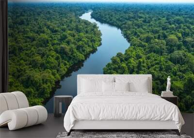 Top view of the lush jungles and river systems of Kutai National Park in East Kalimantan Wall mural