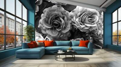 Fake rose flower black and white color for background. Wall mural