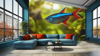 A close-up of a neon tetra fish swimming in an aquarium, with its bright blue and red stripes standing out against the green plants. Wall mural